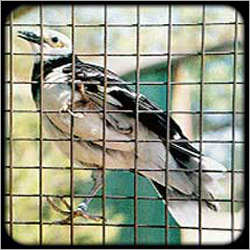 Horticulture Welded Wiremesh