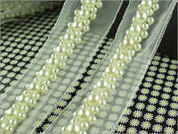 फैंसी रिबन्स