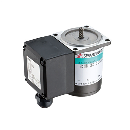 Precision Induction Motor