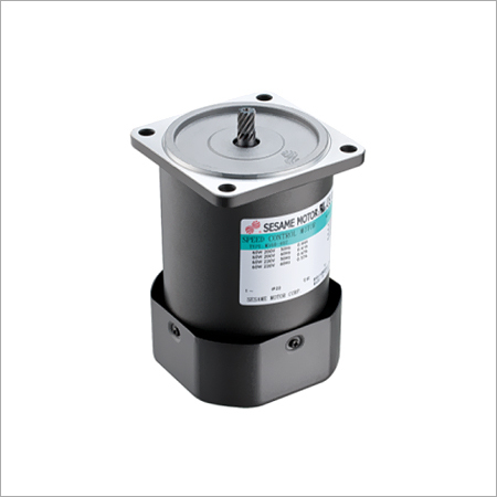 Lead Wire Type Induction Motor
