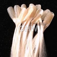 Fusion Nail Tip Extension