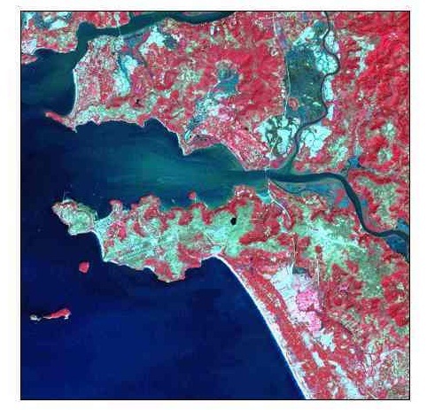 Mirror Stereoscope Aerial Photograph Instruments