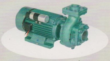 Industrial Centrifugal Monoblock Pumps