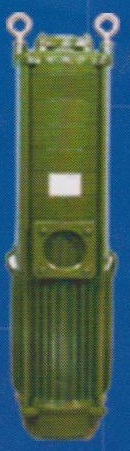 Vertical Open Well Pumps