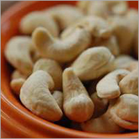 Fresh Cashew Nut