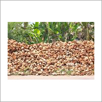 Coconut Coir Fiber