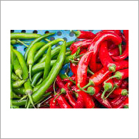 Vegetables