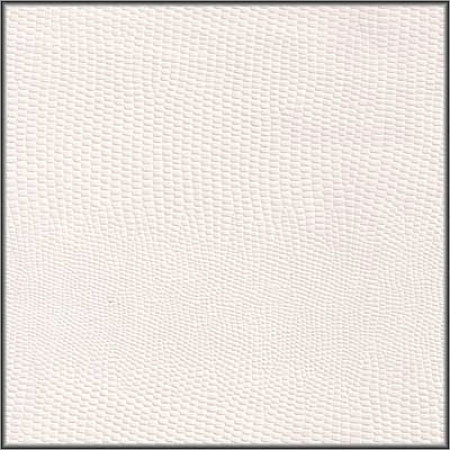 White Coated Paper