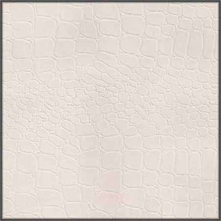 White Coated Paper