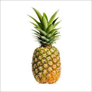 Fresh Pineapples