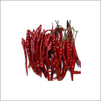 Dry Red Chilly