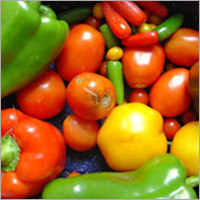 Fresh Vegetables