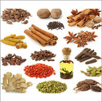 Indian Spices