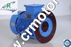 Vertical Hollow Shaft Motor