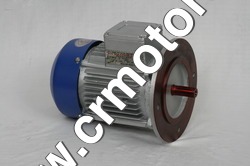 Industrial Flange Mount Motor