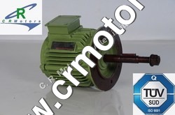 Cooling Tower Motors