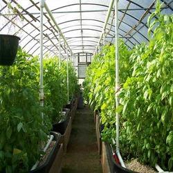 Agricultural Sun Shade Net