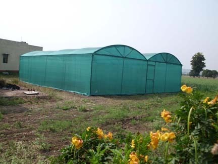 Nursery Shade Net