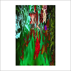 Printed Silk Stoles
