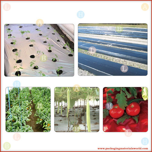 Plastic Mulch Film