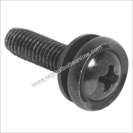 Polished Stainless Steel Screws