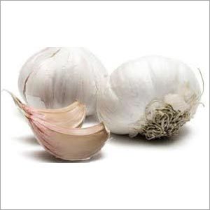 White Garlic