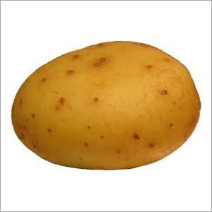Potato