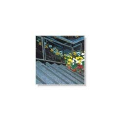 3M Safety Walk General Purpose Tread