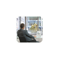window film