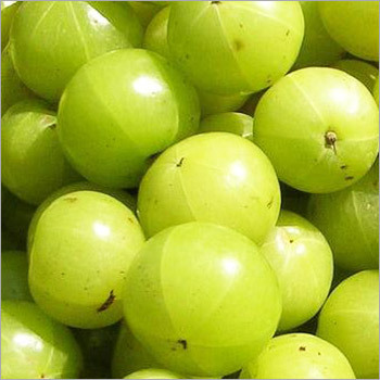 Indian Gooseberry Benefits