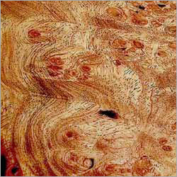 Wood Printing Services