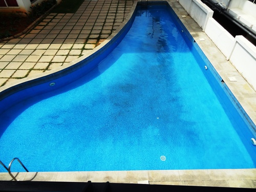 swimming pool contractor