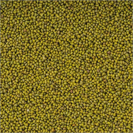 Mung Bean