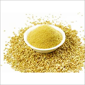 Coriander Powder