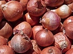 Red Onion