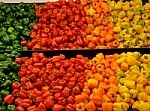 Fresh Preserved Vegetables