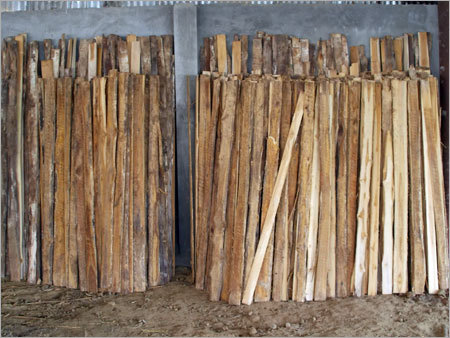 Pine Wood Logs