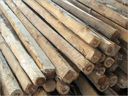 Meranti Wood Logs