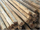 Wood Logs