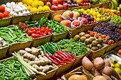 Fresh Vegetables
