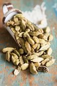 Cardamom