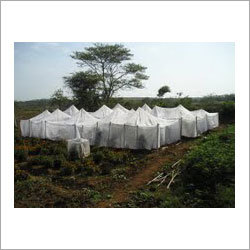 Mesh Insect Net