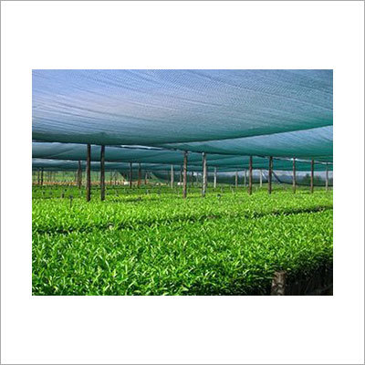 Shade Net