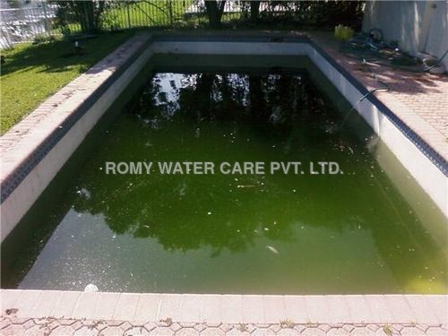 Swimming Pool Repair
