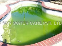 Swimming Pool Maintenance and Repairs - Engineering-Based Soil Stabilization, Crack Repair, Structural Integrity