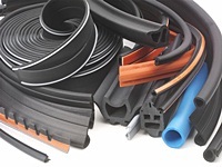 Extruded Gaskets