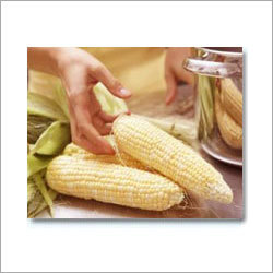 Whole Maize