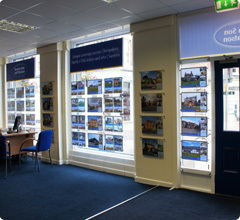 Show Window Lighting