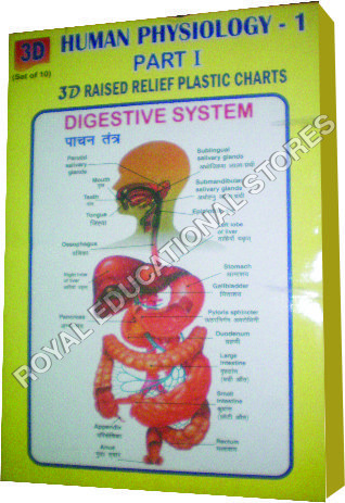 3D Raised Relief Chart