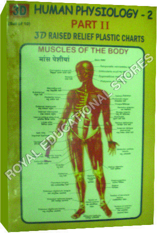3D CHARTS-HUMAN PHYSIOLOGY-1